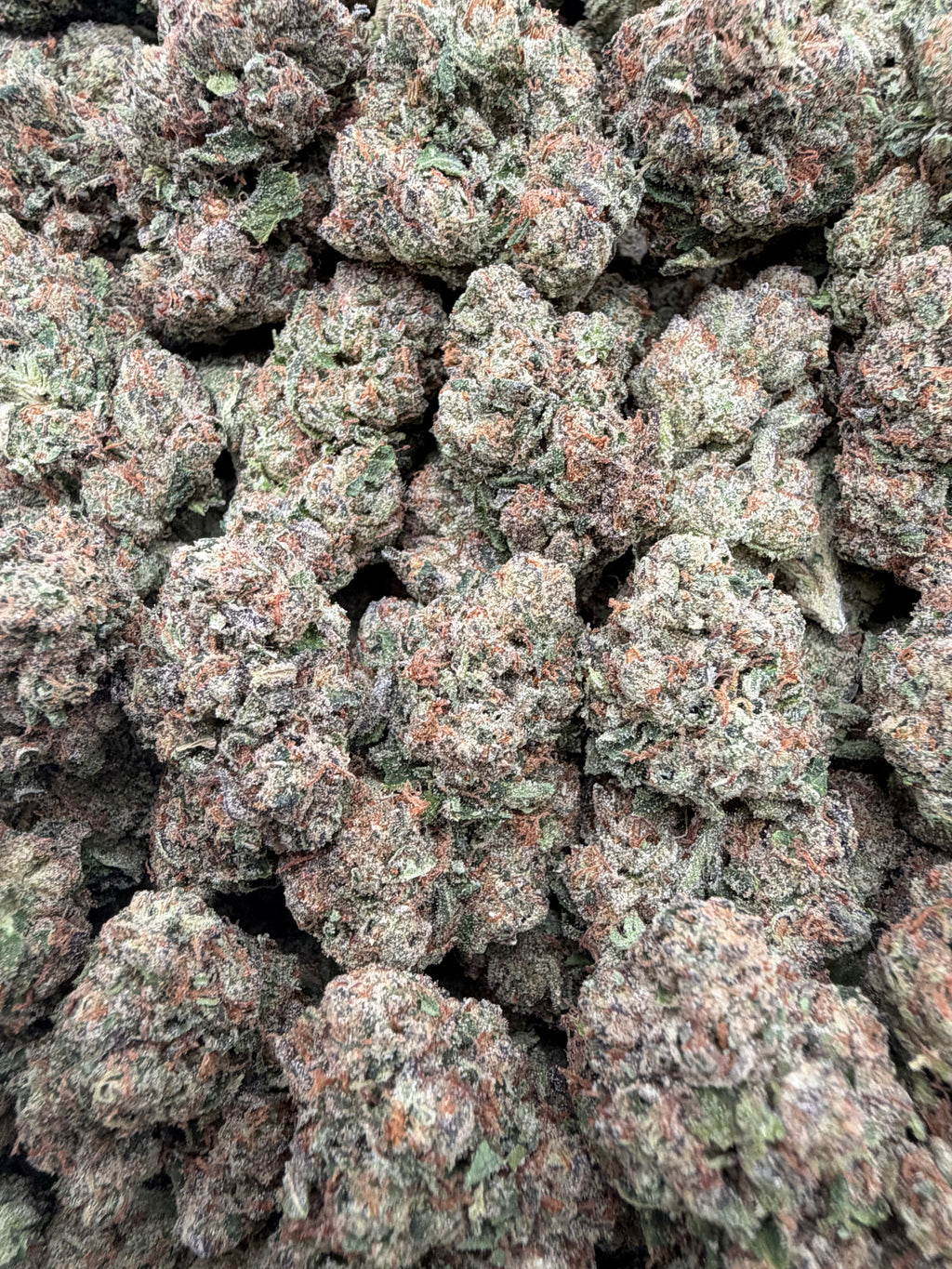 ZOUR LEMONS [650]