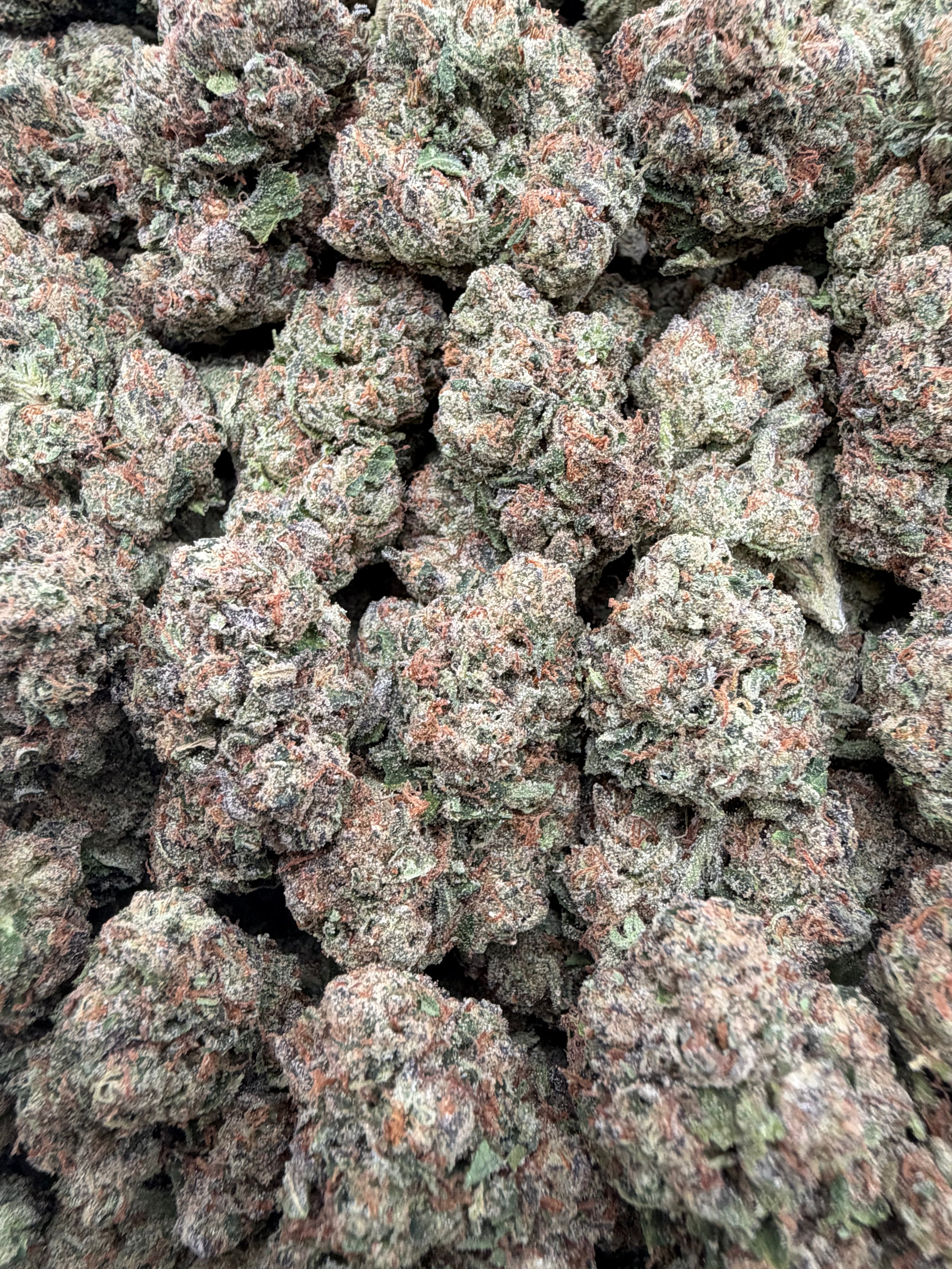 ZOUR LEMONS [650]
