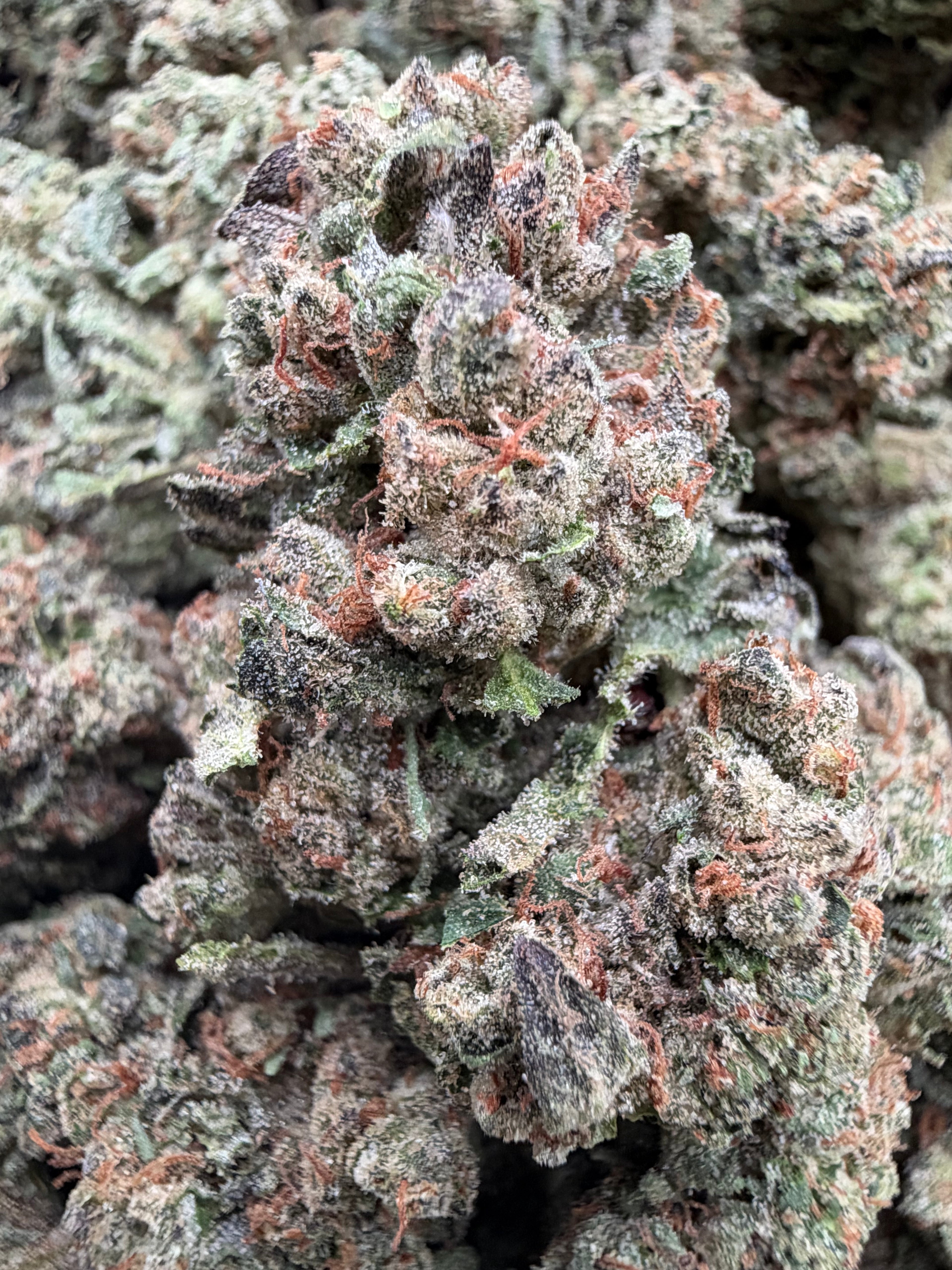 LEMON CHERRY POPPERS [650]