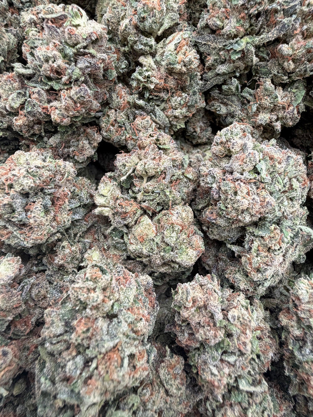 LEMON CHERRY POPPERS [650]