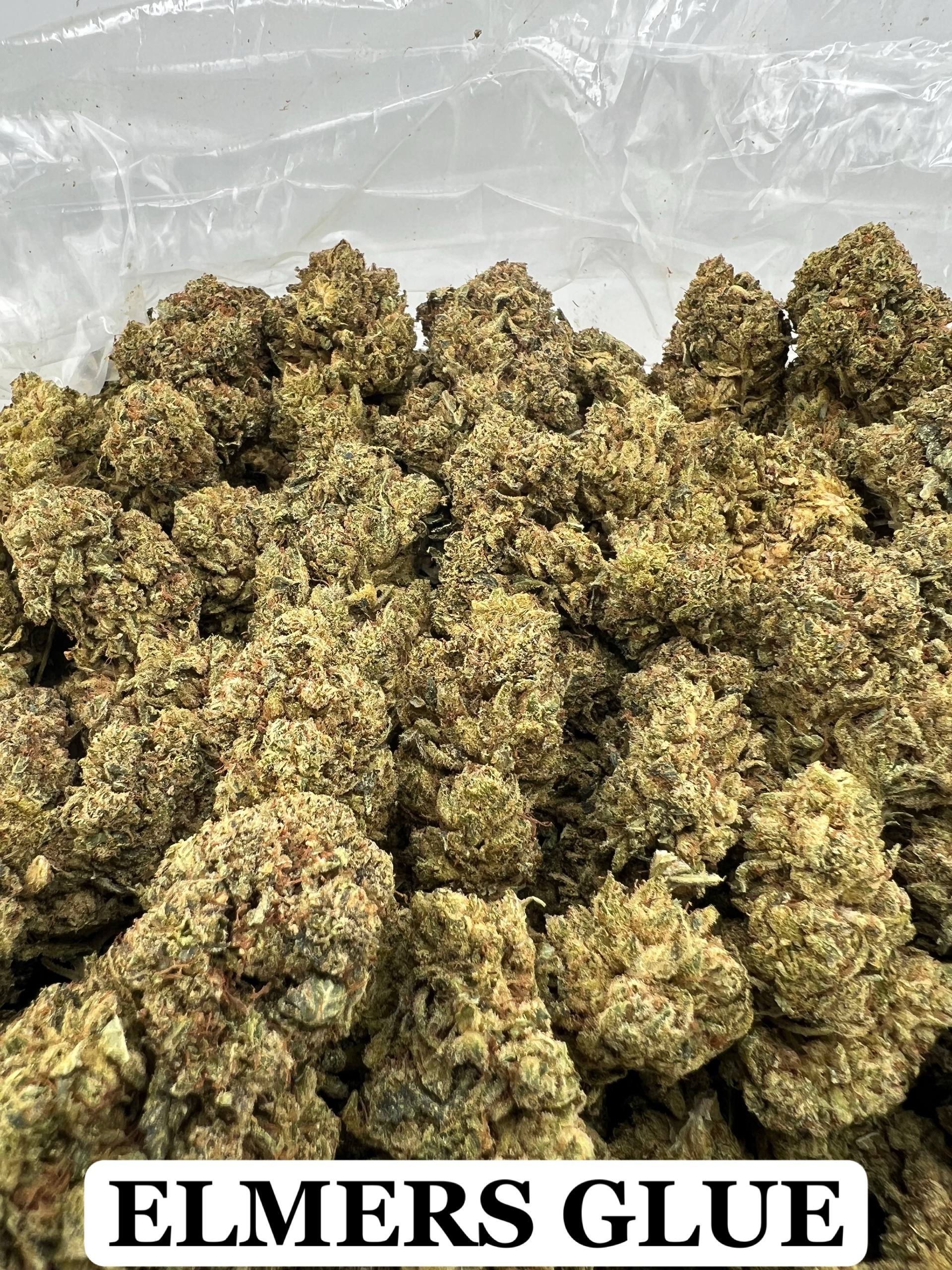 ELMERS GLUE [450]