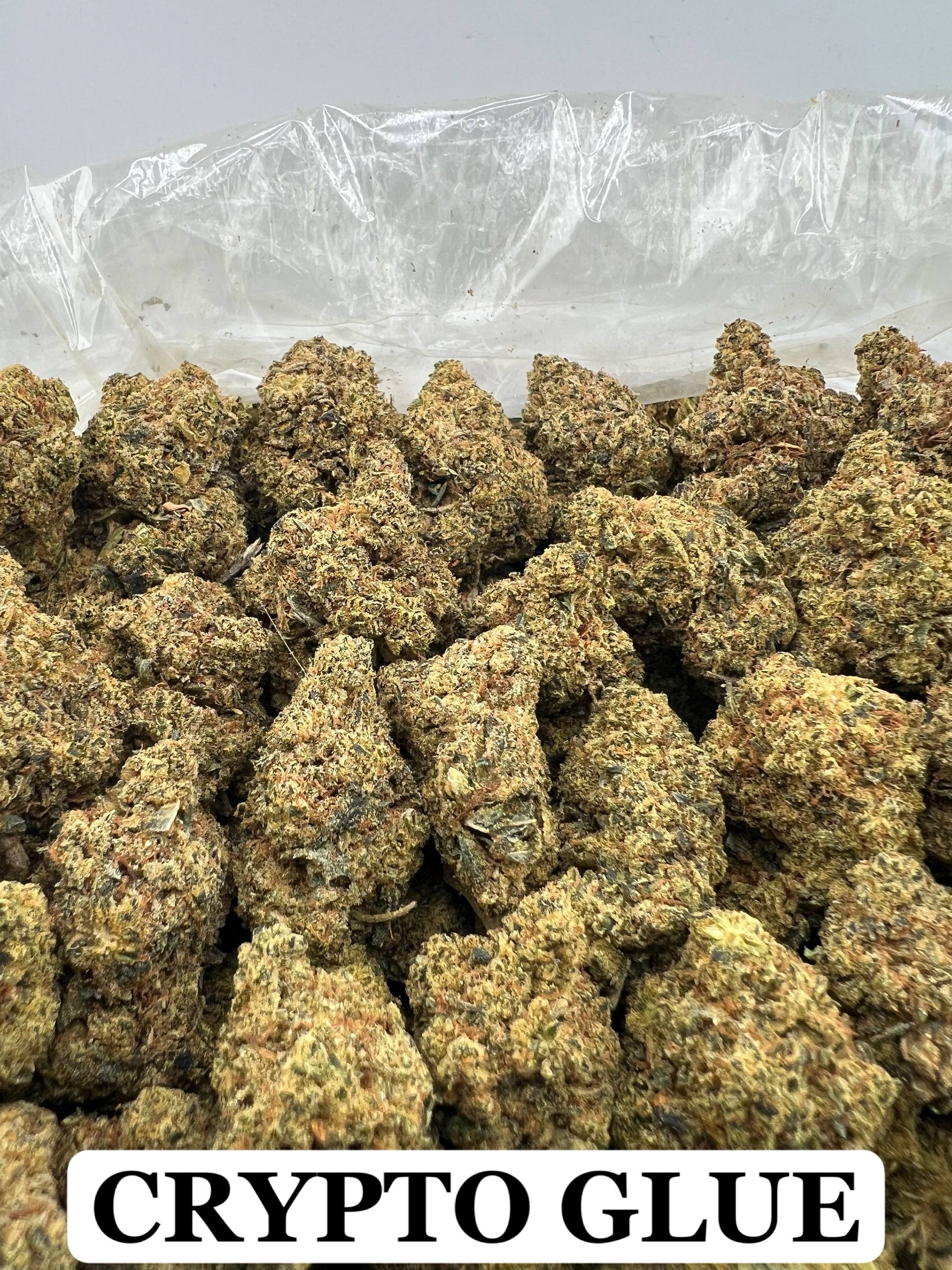CRYPTO GLUE [400]