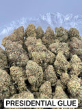 PRESIDENTIAL GLUE [1050]