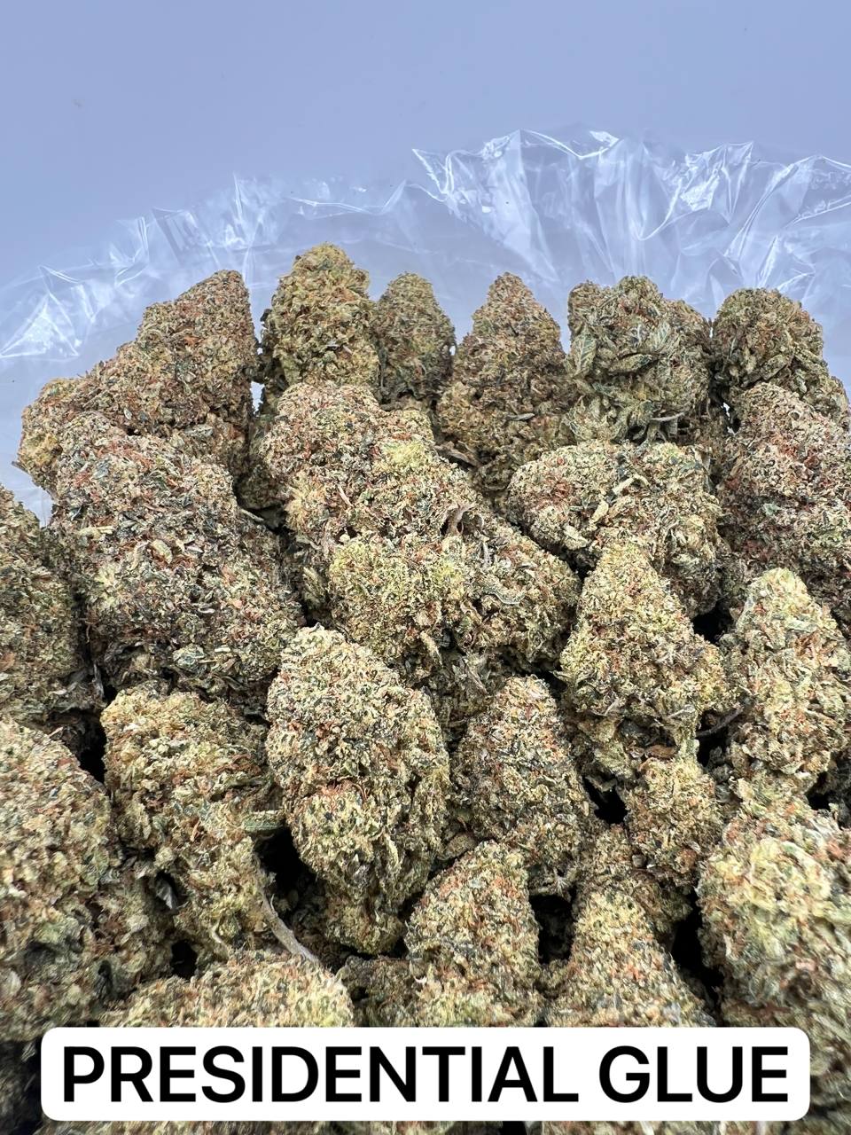 PRESIDENTIAL GLUE [1050]