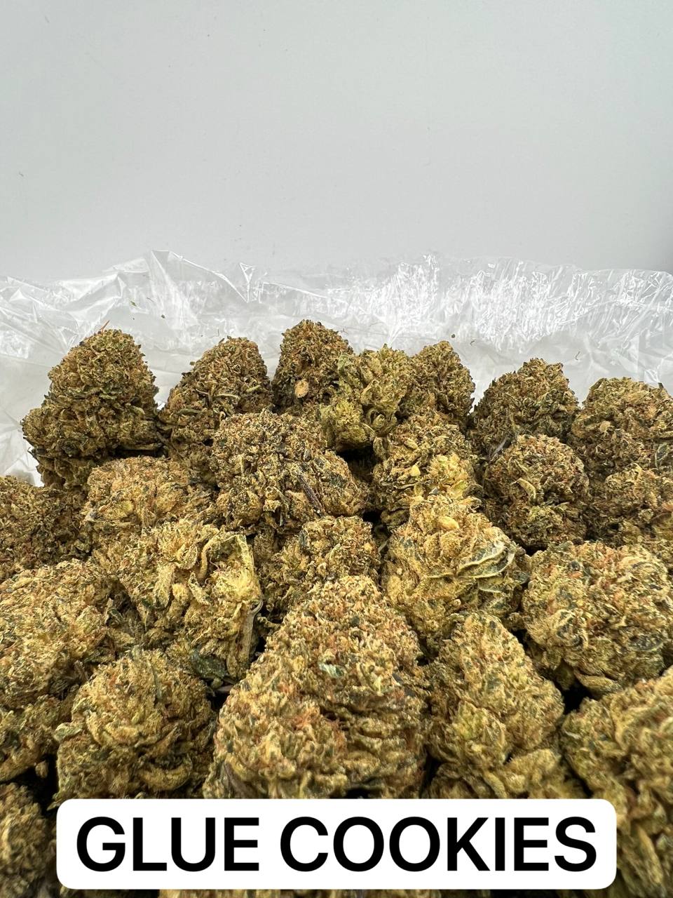 GLUE COOKIES [625]