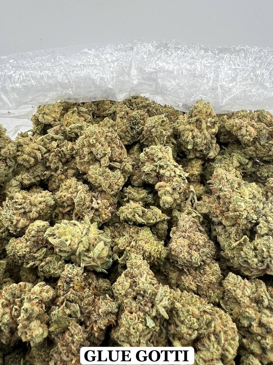 GLUE GOTTI [800]