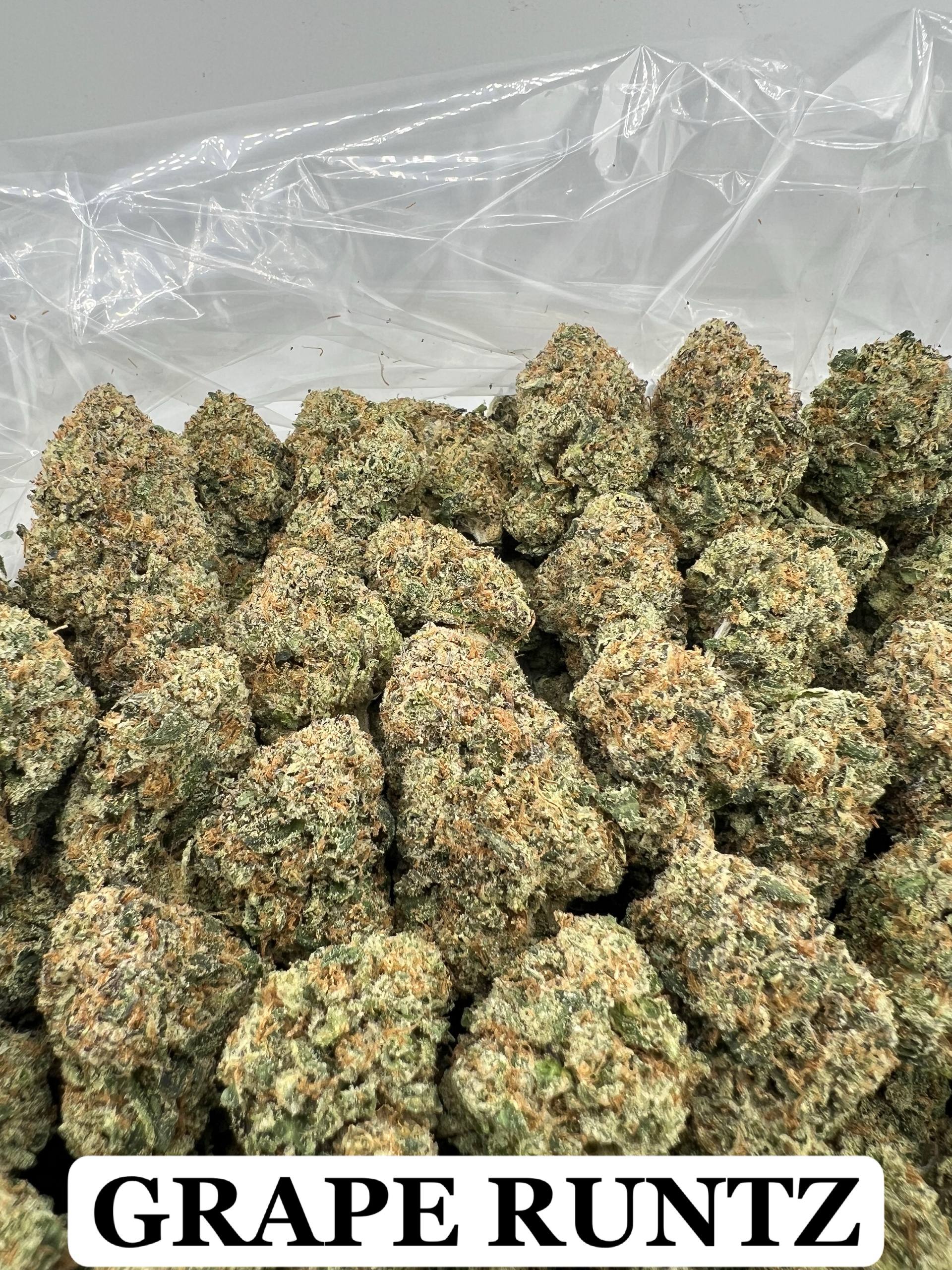 GRAPE RUNTZ [900]