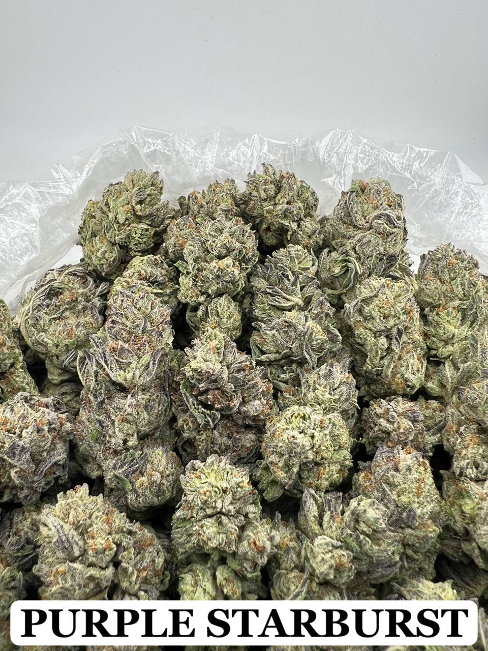 PURPLE STARBURST [600]