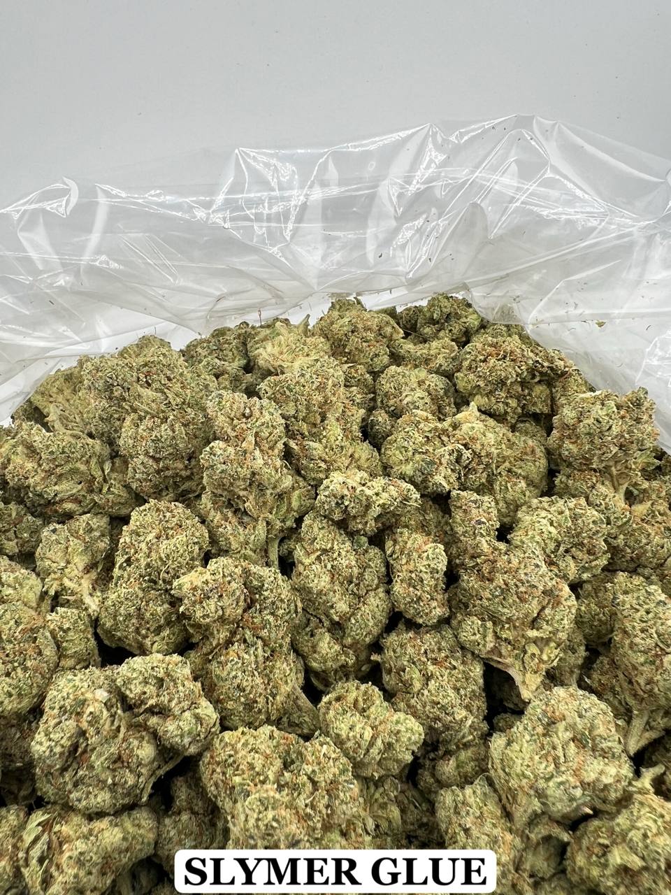 SLYMER GLUE (LIGHTLY SEEDED) [550]