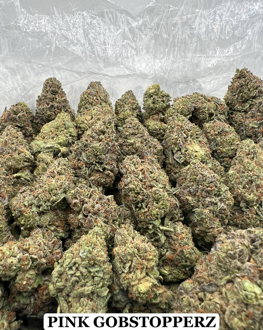PINK GOBSTOPPERZ [650]