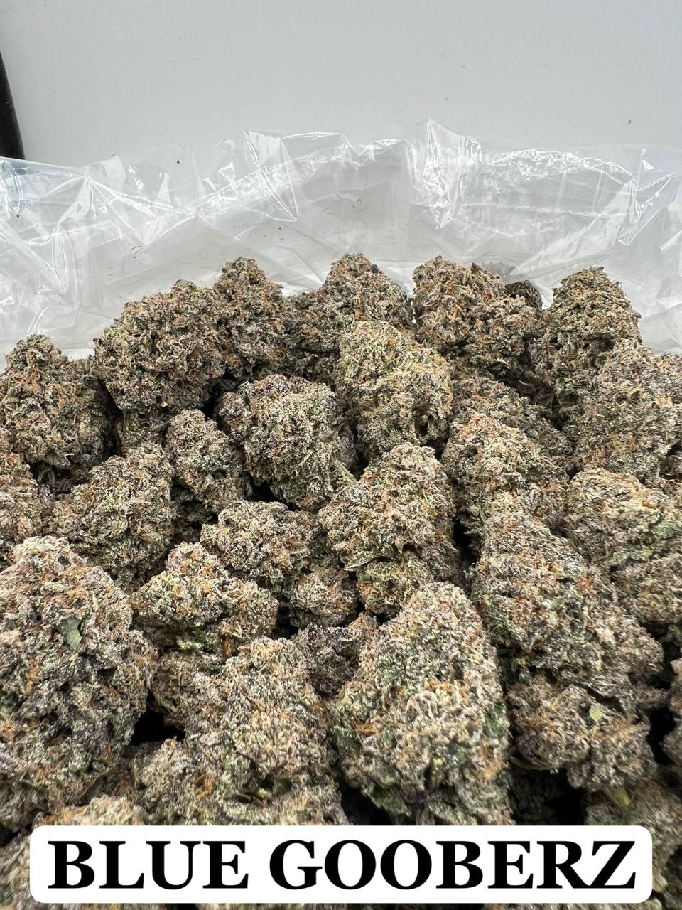 BLUE GOOBERZ [900]