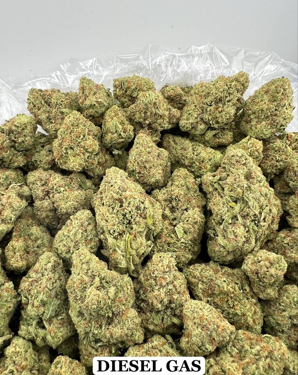 DIESEL GAS [600]