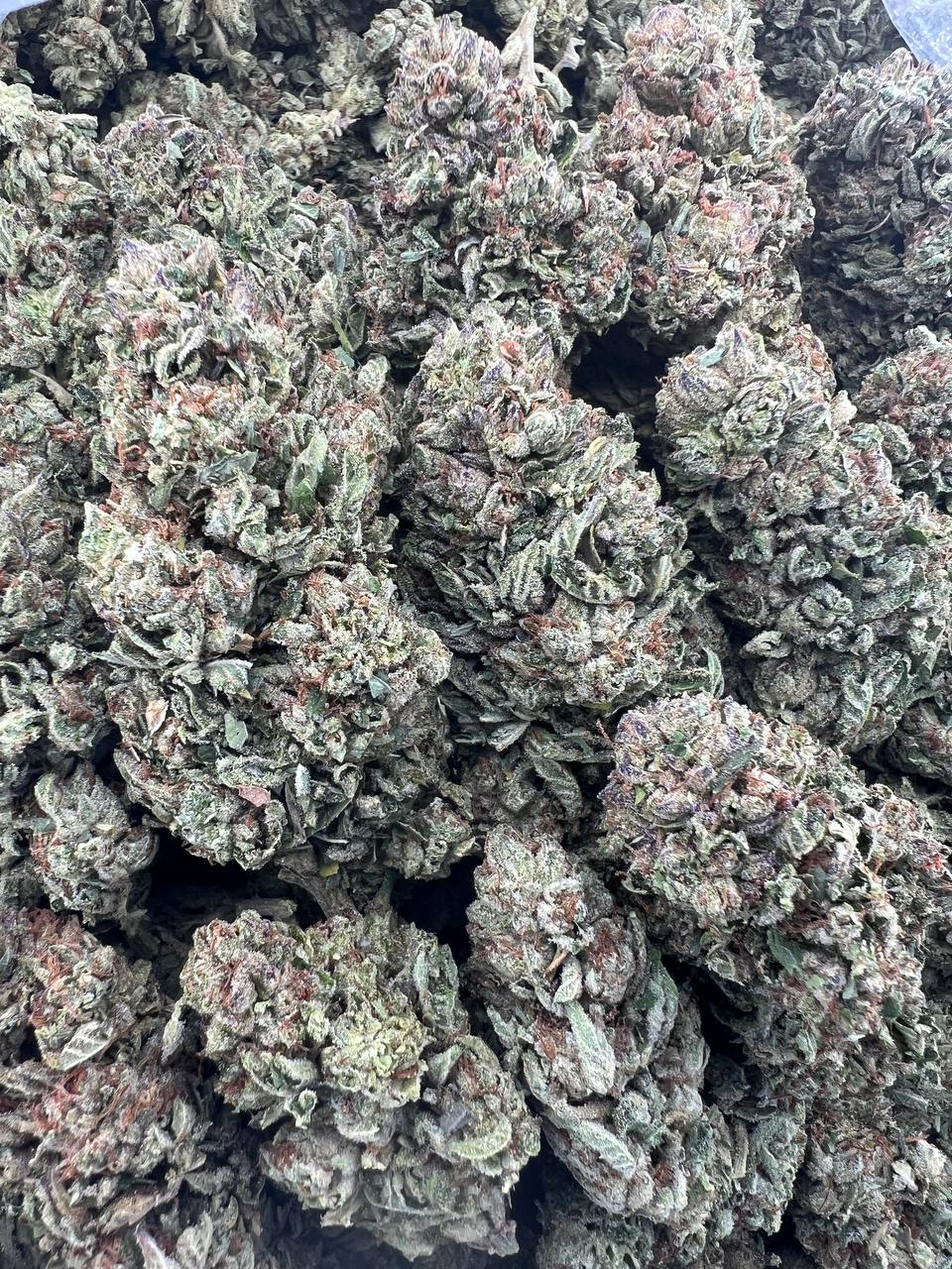 DEADHEAD OG [600]