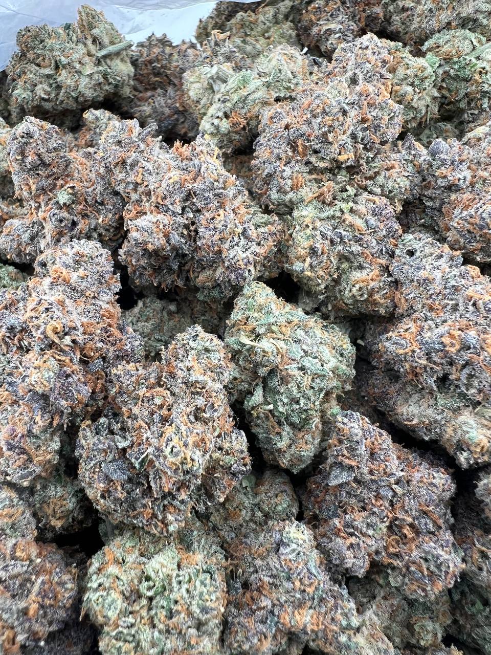 WHITE CHERRY RUNTZ [1025]