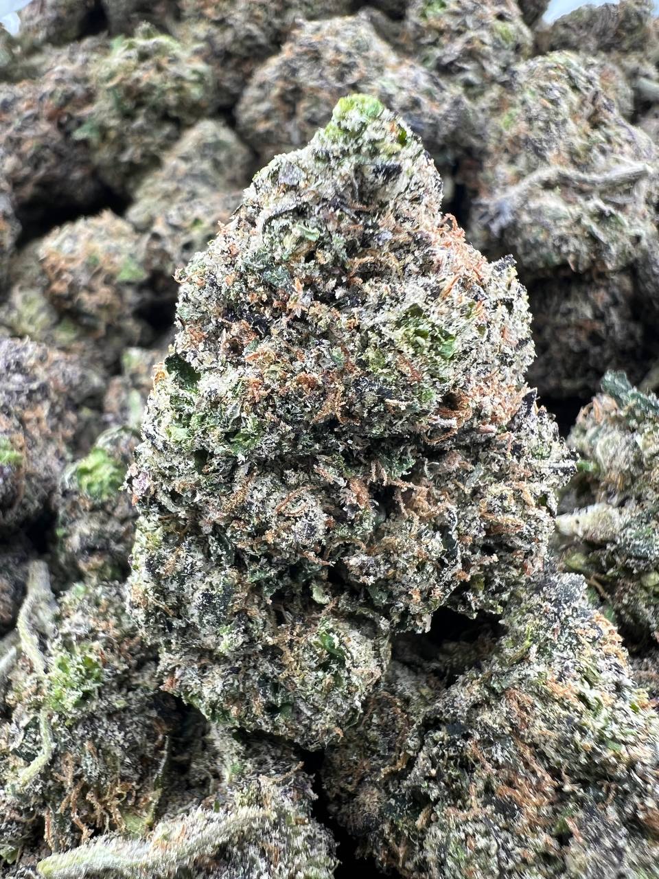 LEMON CHERRY SMACKERZ [975]