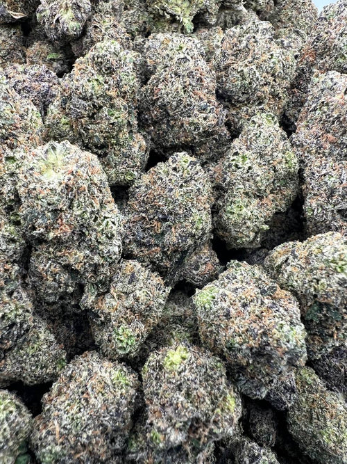 ASTRO CANDY [900]