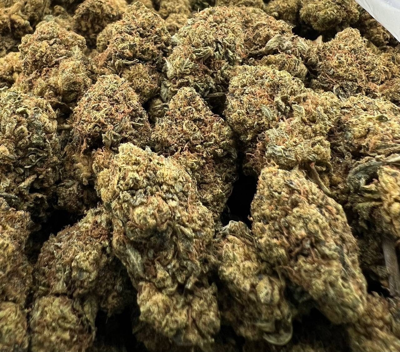 COOKIE DOUGH [100]