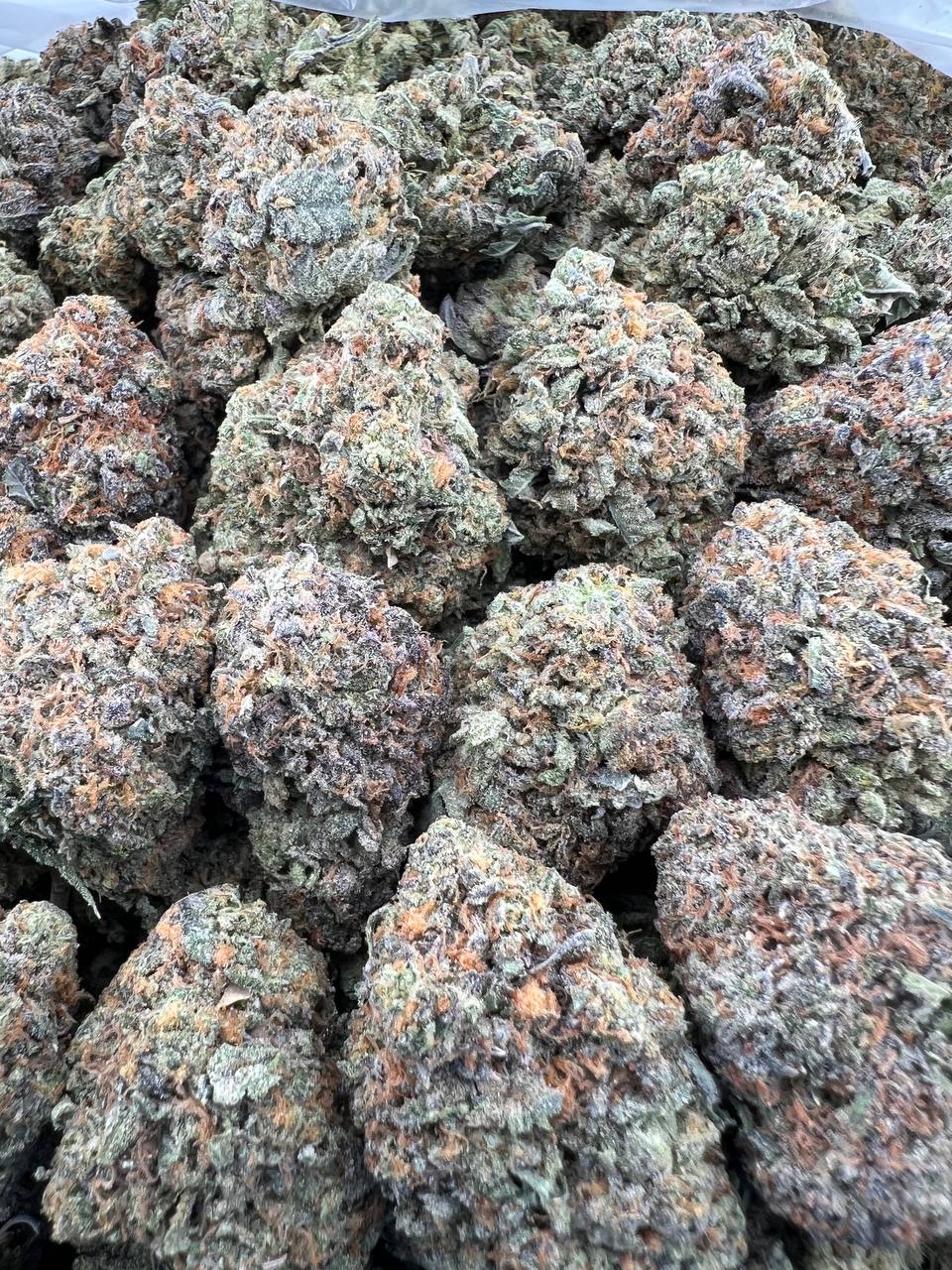 ROZAY GELATO [750]
