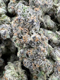 BLUE BENJIS [1000]