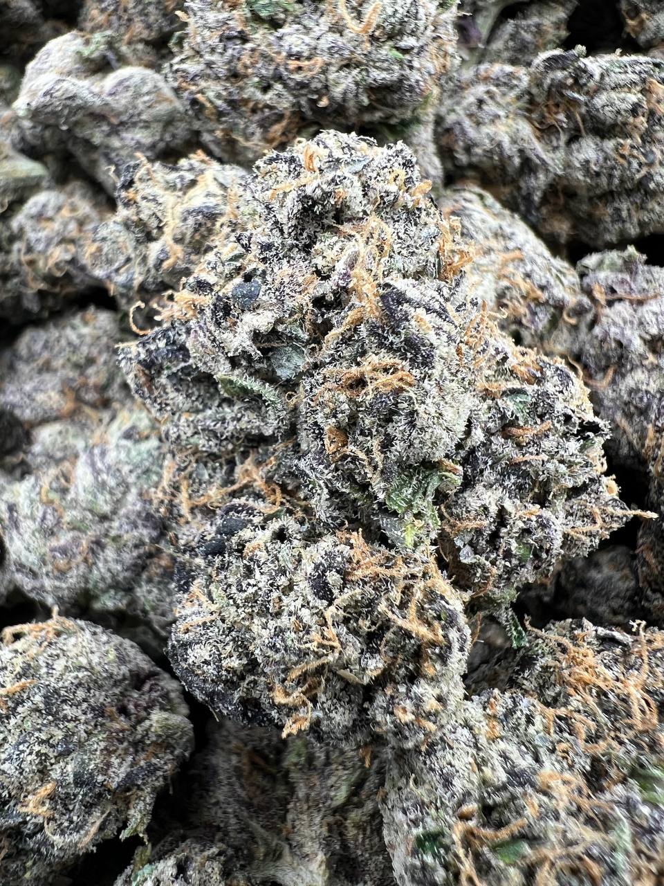 BLUEBERRY PANCAKEZ [1000]