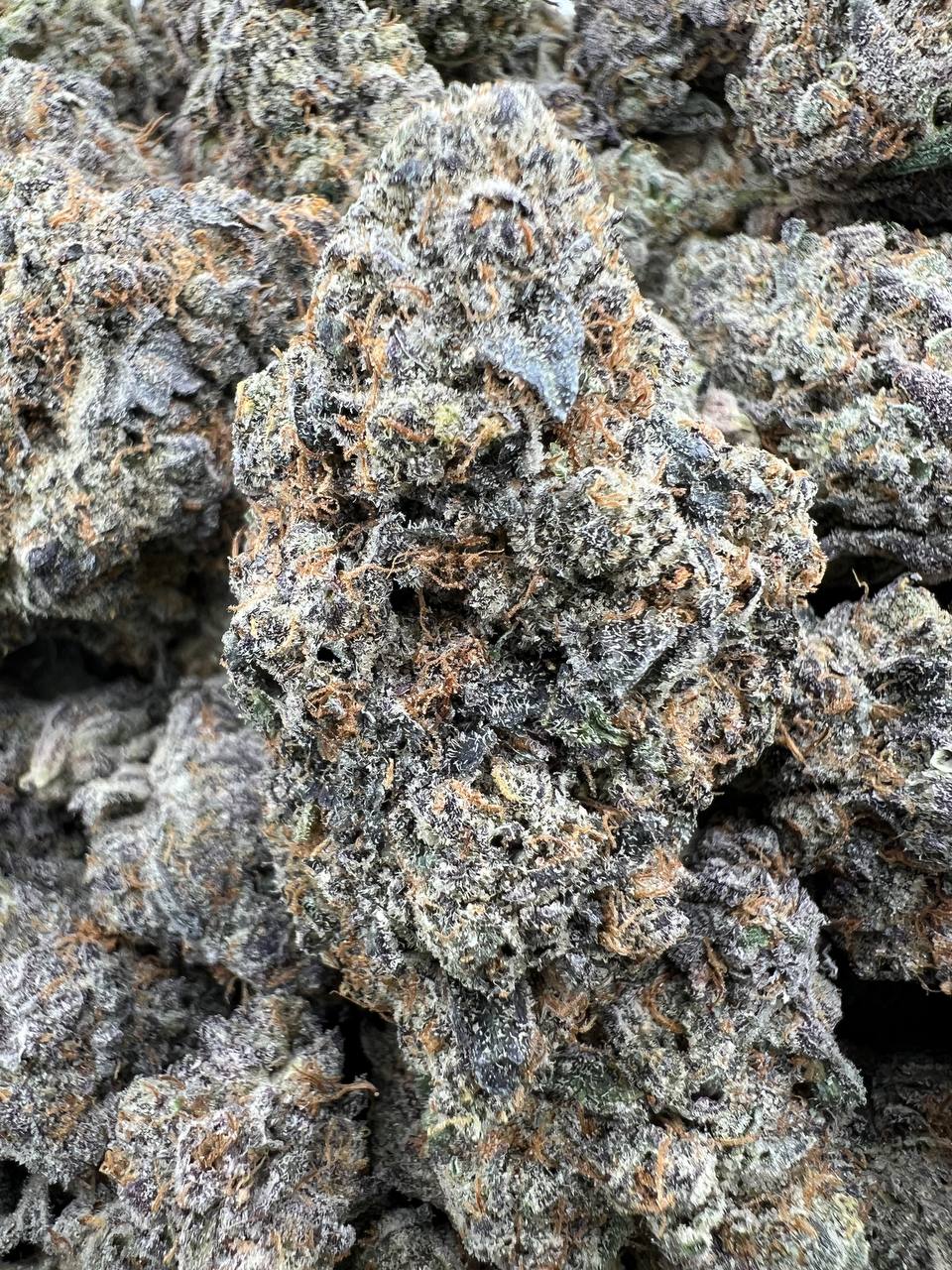 LAVA CAKE [1000]