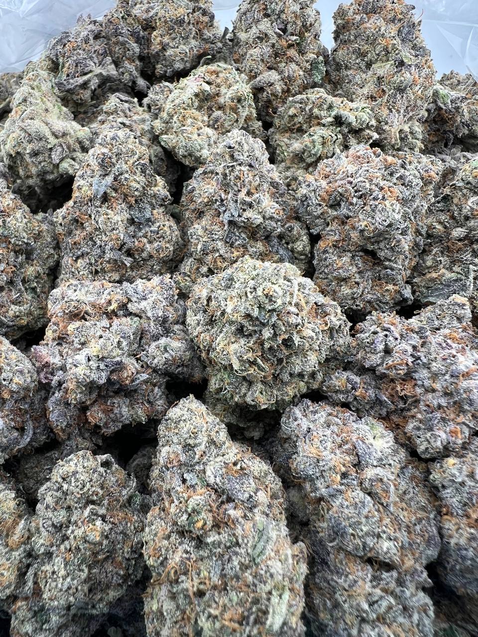 LAVA CAKE [1000]