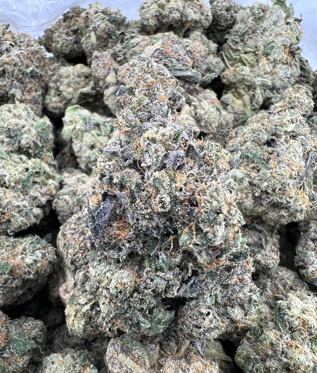 STRAWBERRY SHORTCAKE [1000]