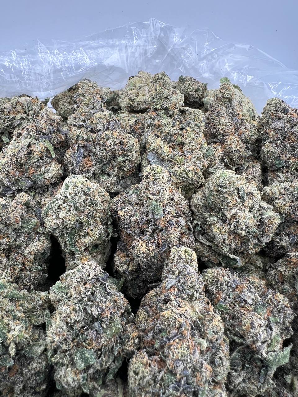 STRAWBERRY SHORTCAKE [1000]