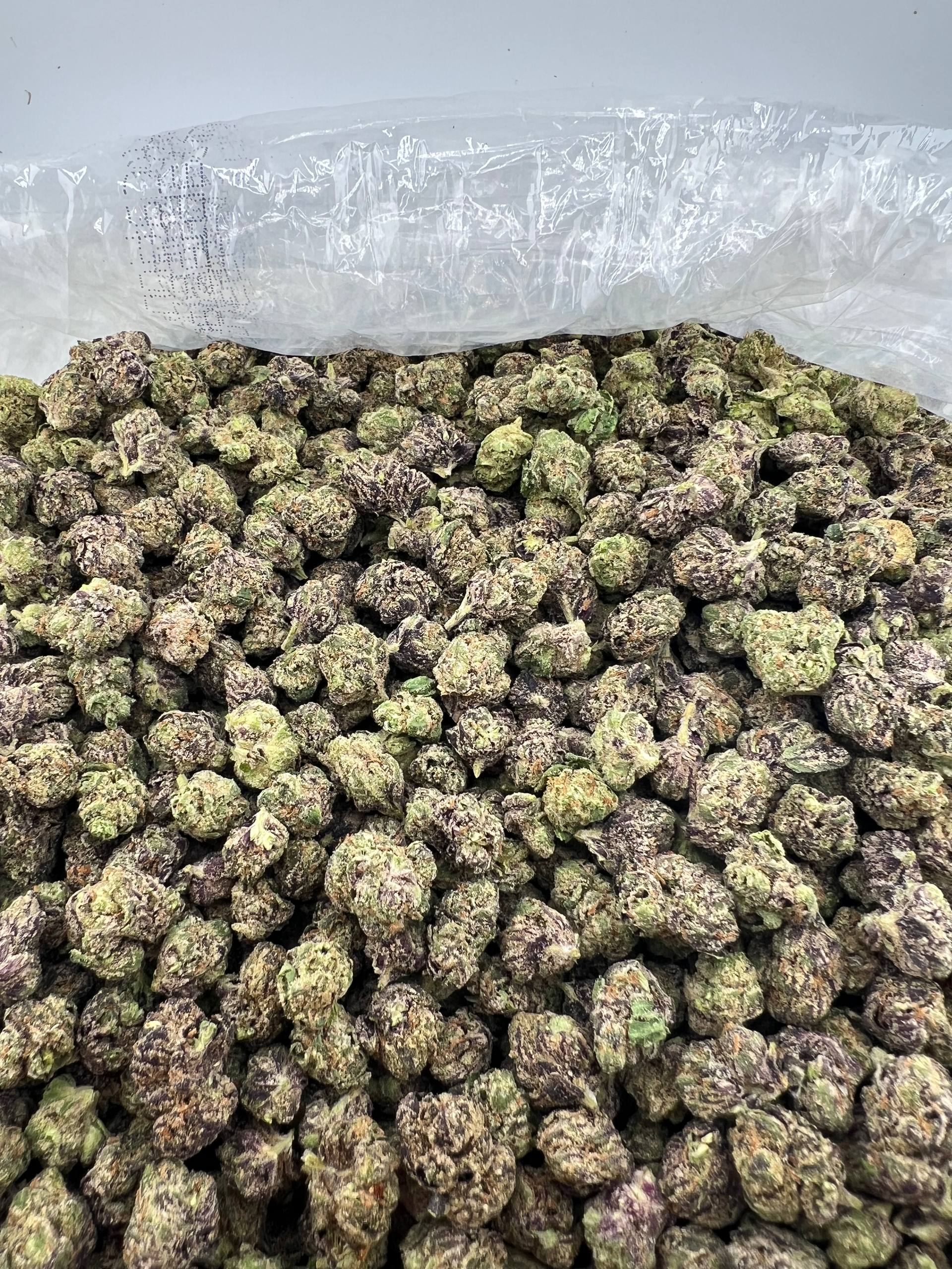JR BLUE NERDZ [650]