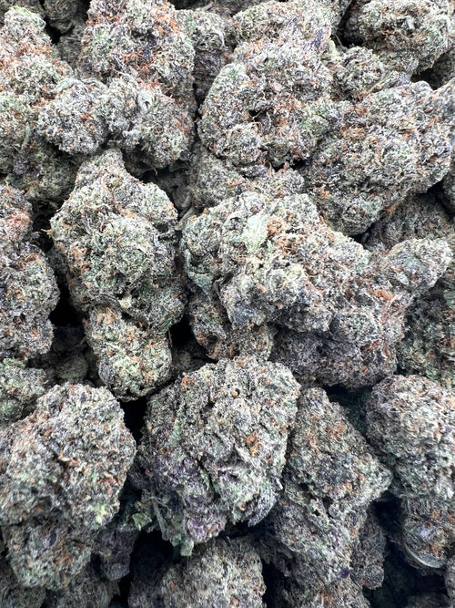 BISCOTTI RUNTZ [875]