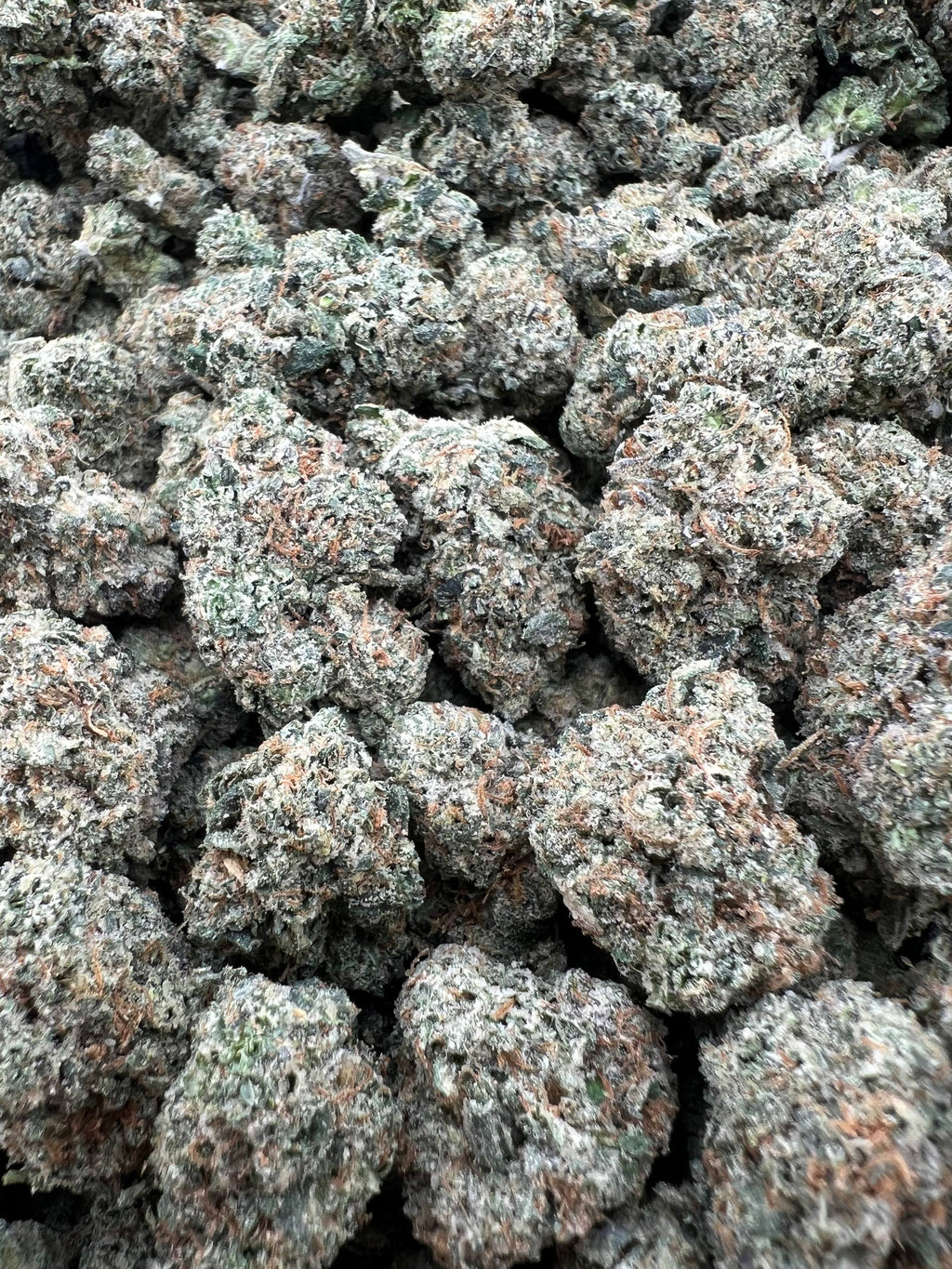 SUPER CANDY [825]