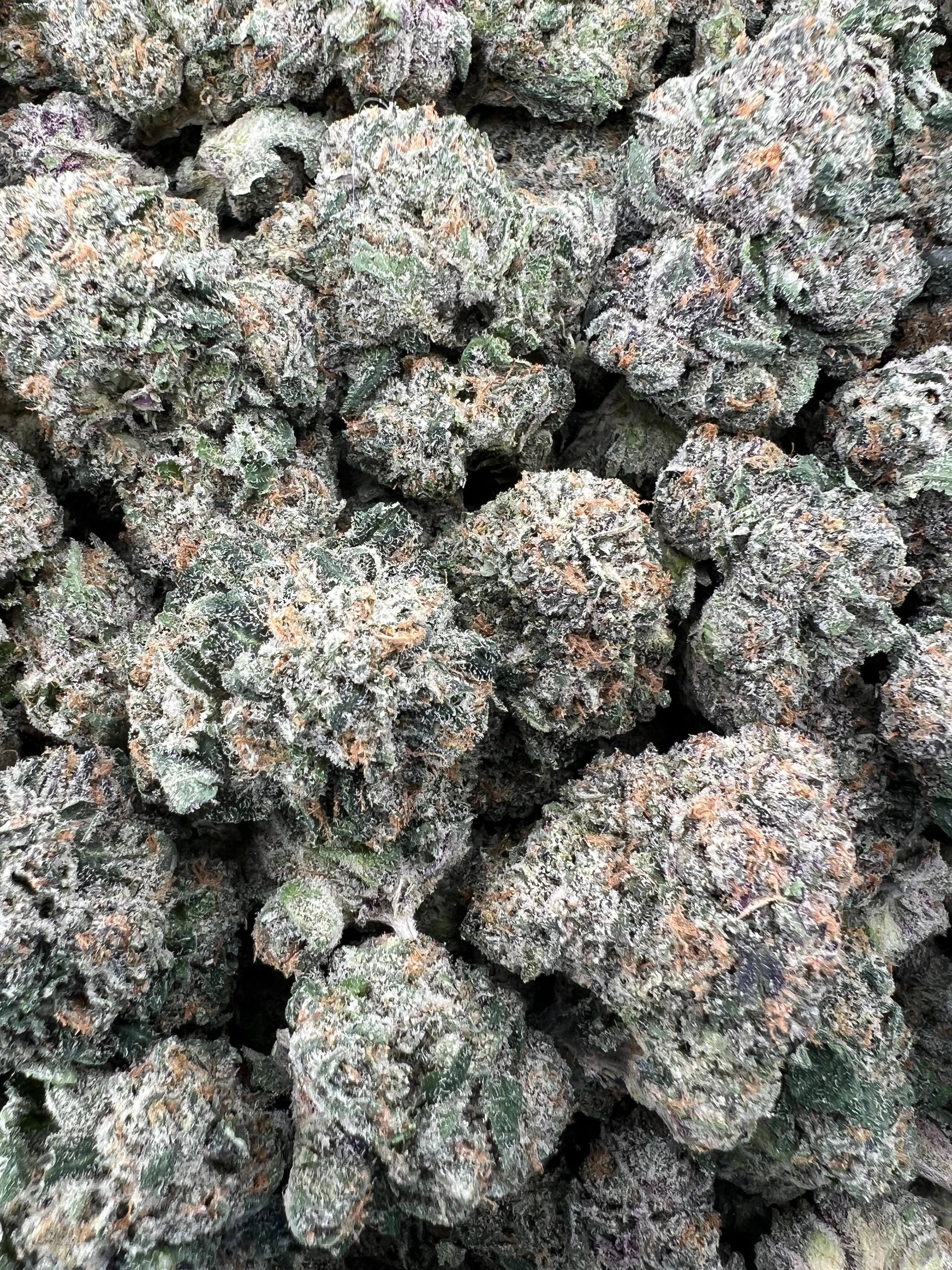 BUBBLEGUM RUNTZ [1050]