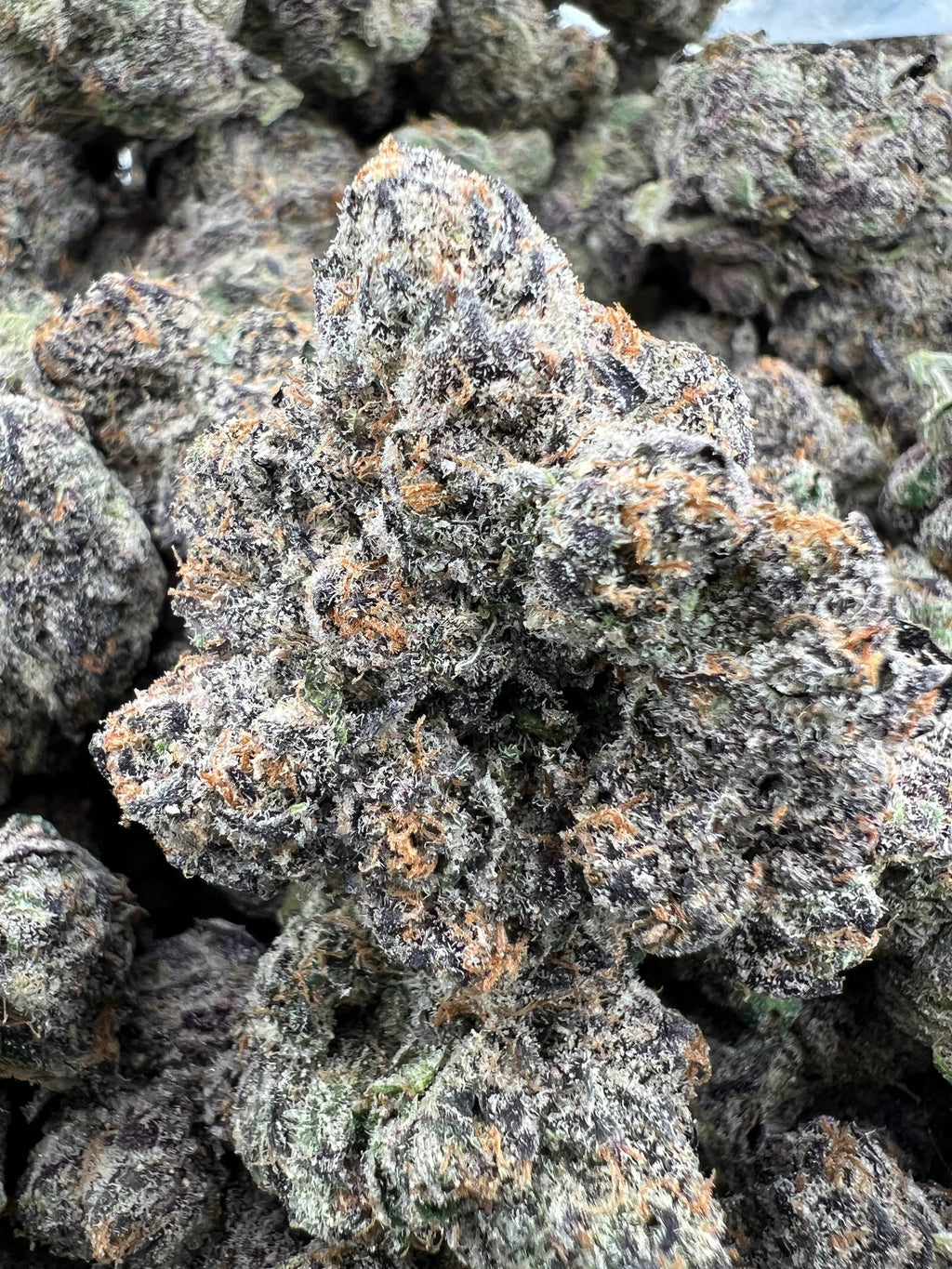 STYROFOAM CUP [1500]