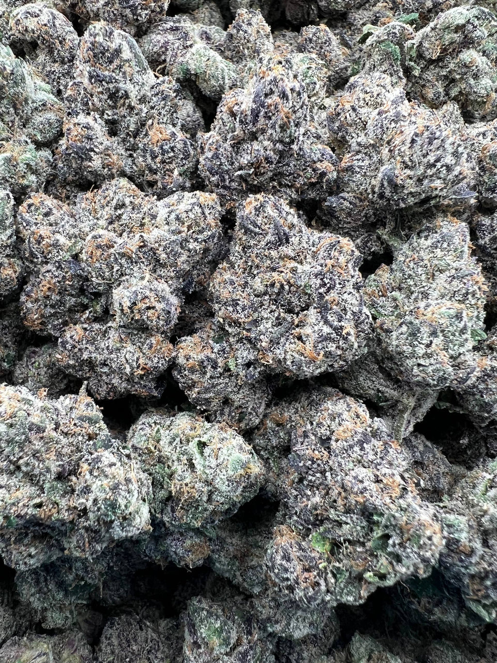 STYROFOAM CUP [1500]
