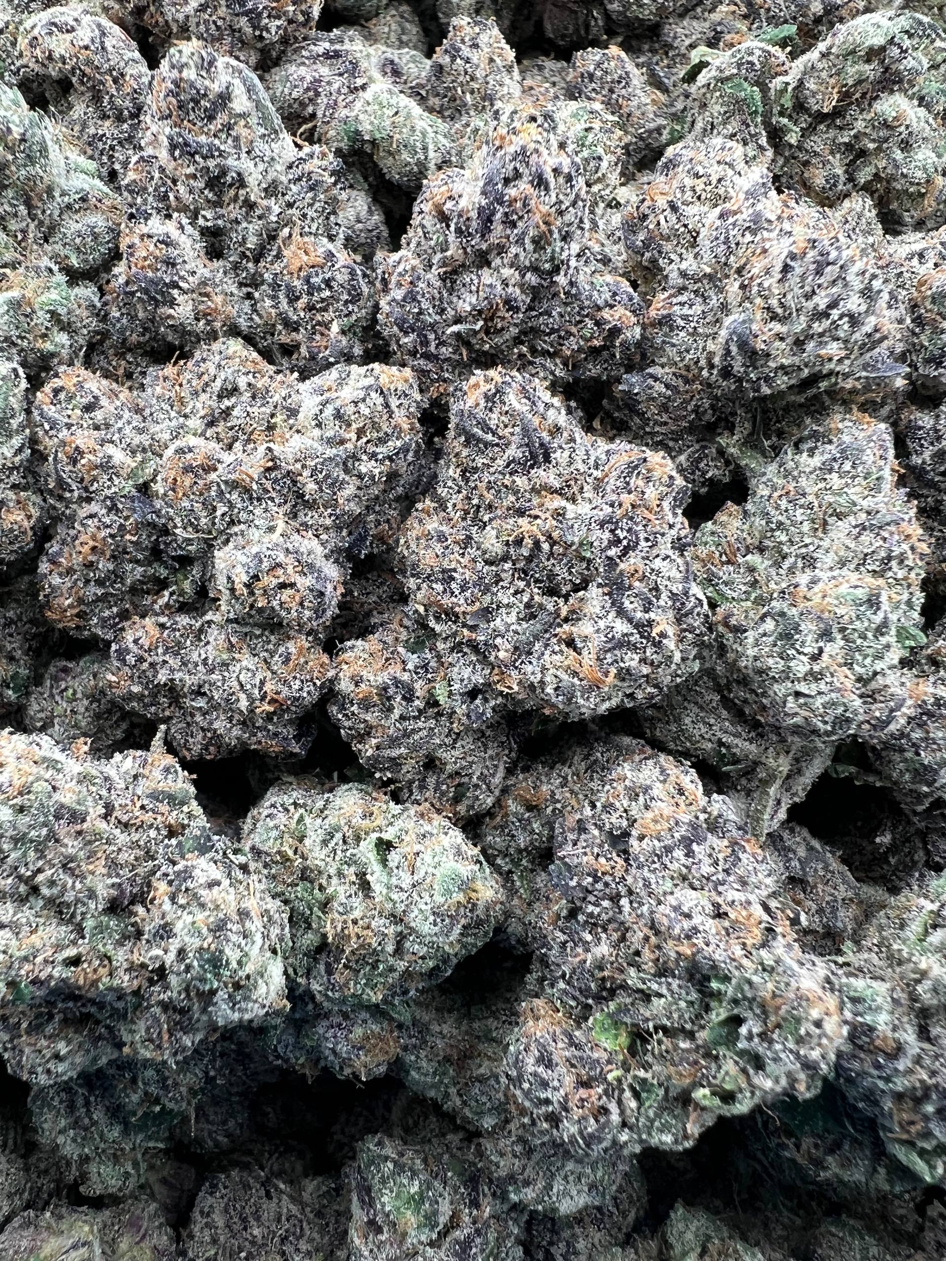 STYROFOAM CUP [1500]