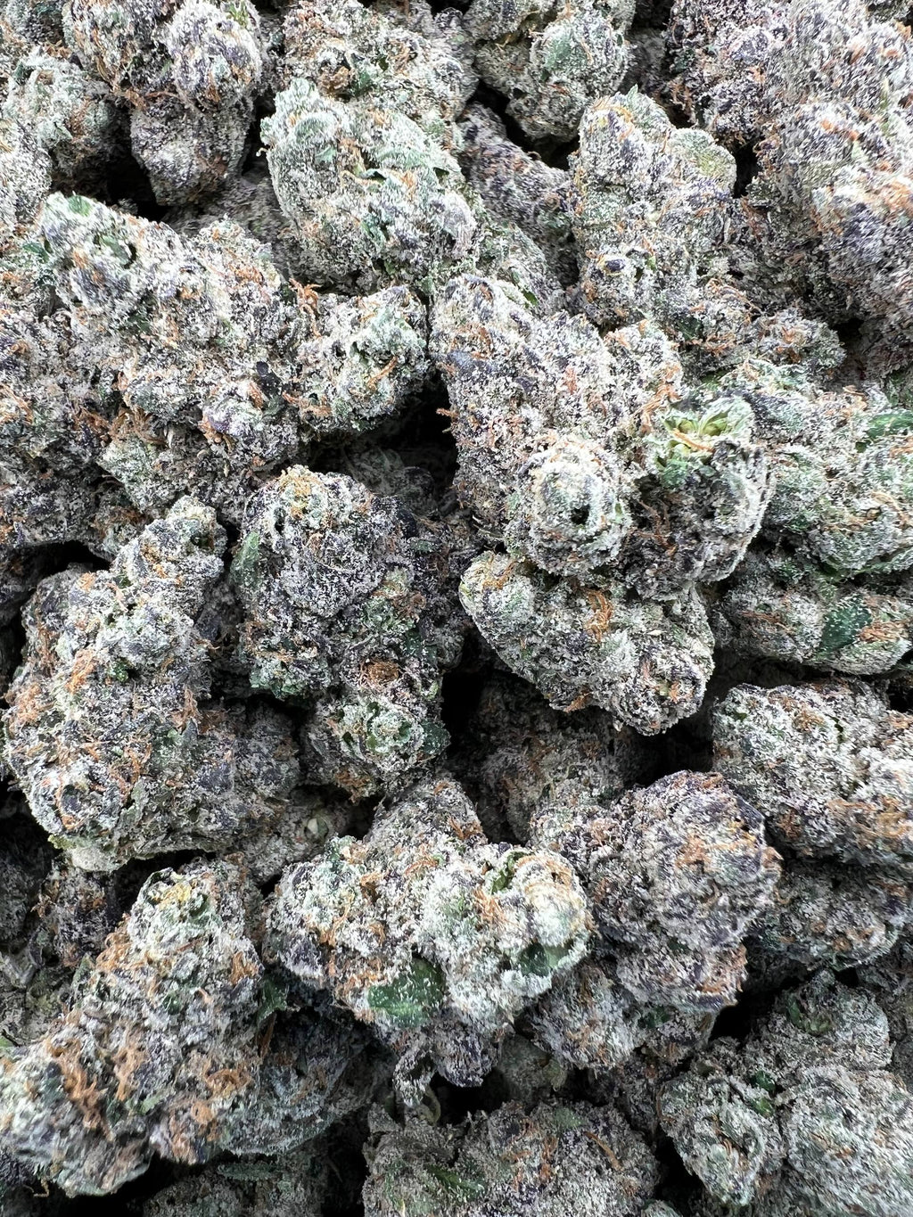 BLUE FACE RUNTZ [1250]