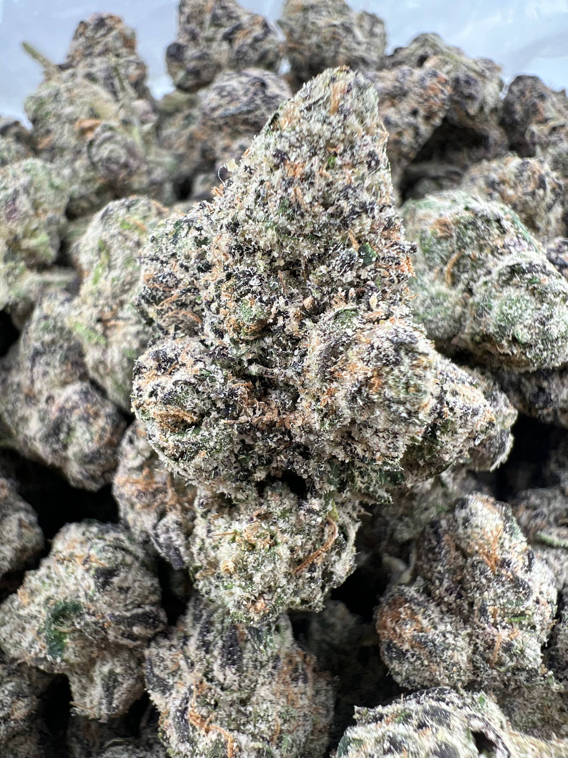 GHOST MODE KUSH BERRIES [1450]
