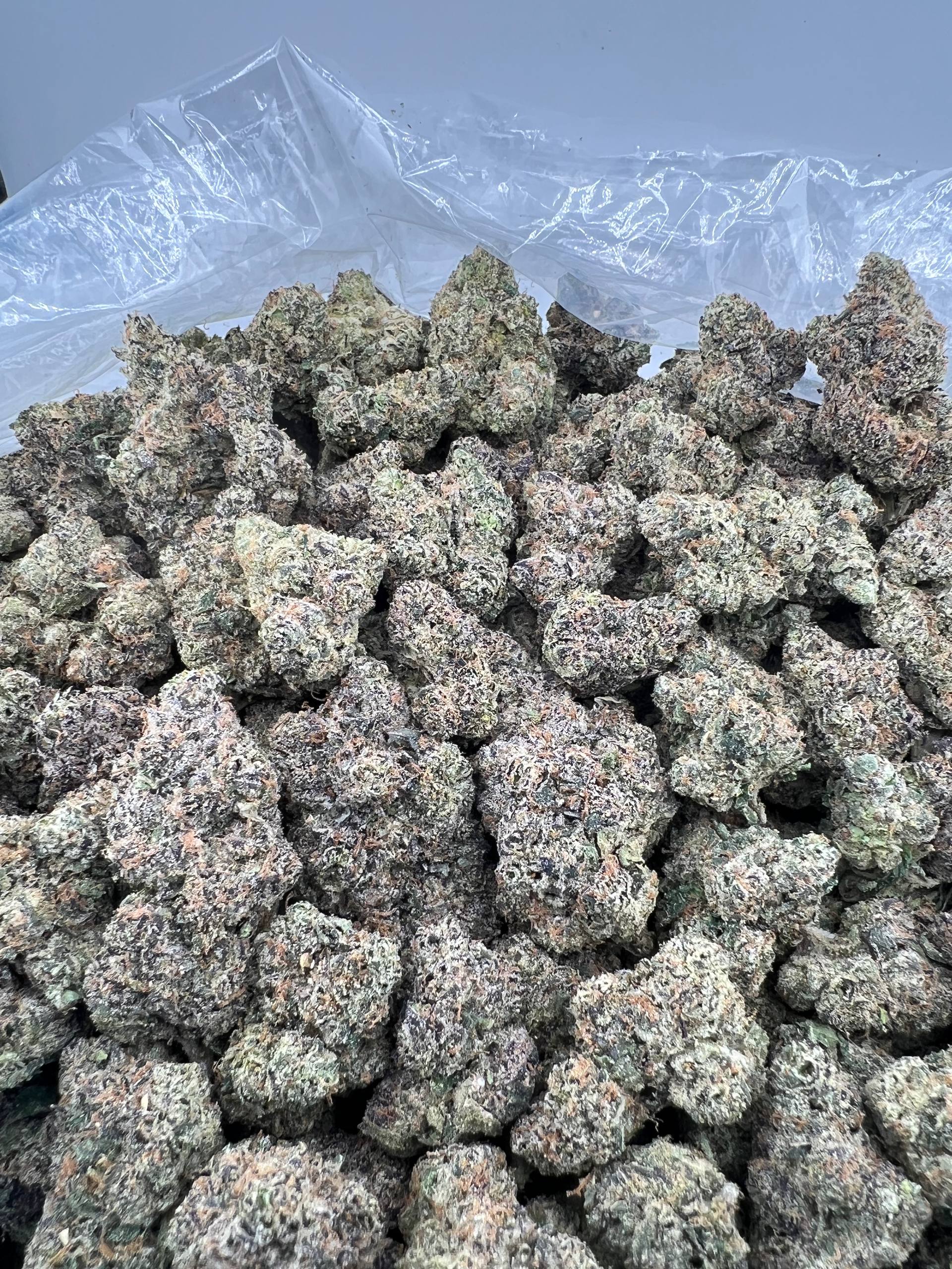 BLUE CHERRY GRUNTZ [850]