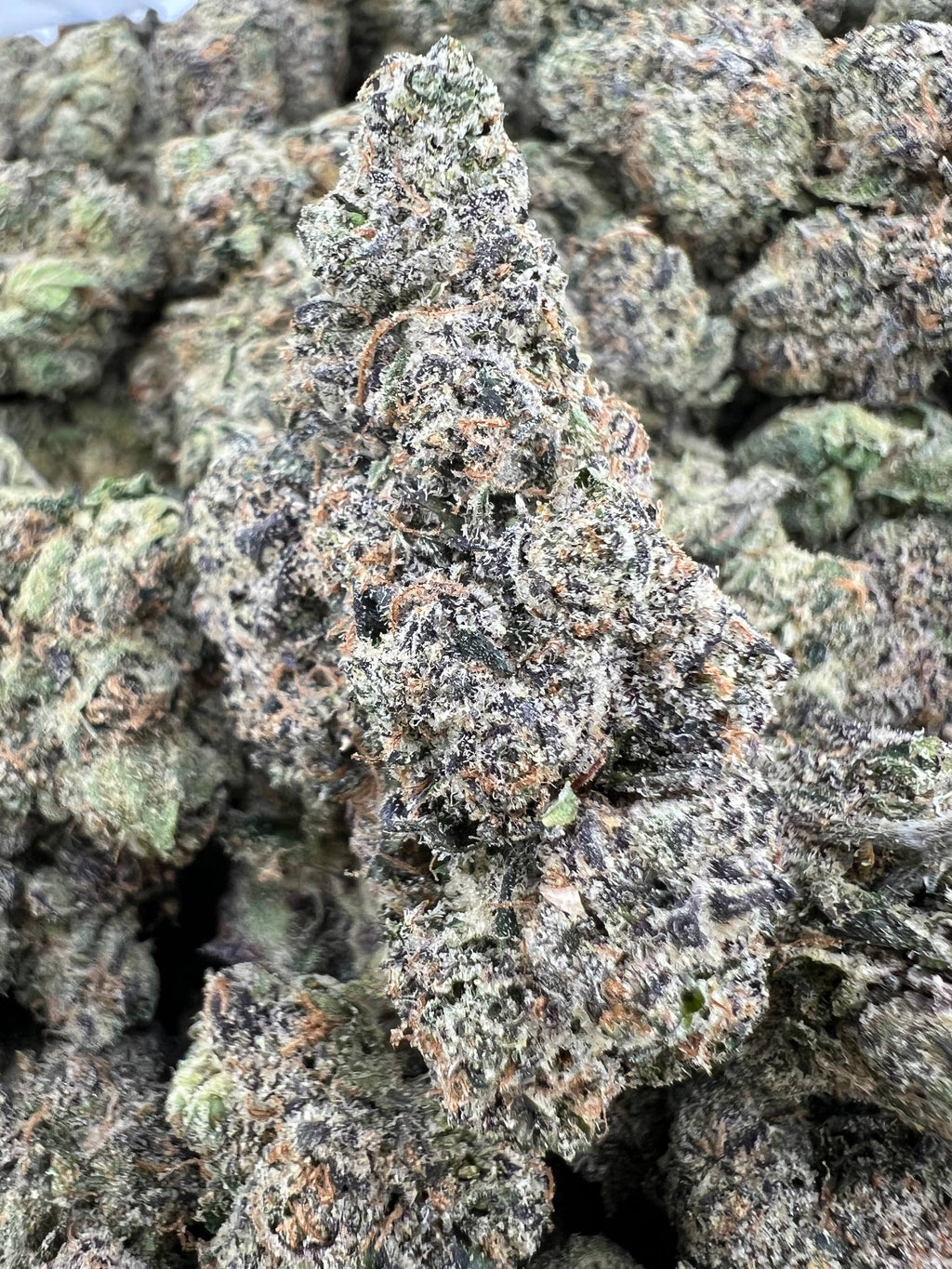 RED CHERRY CANDY [900]