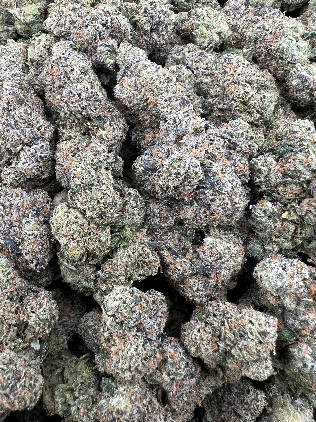 RED CHERRY CANDY [900]