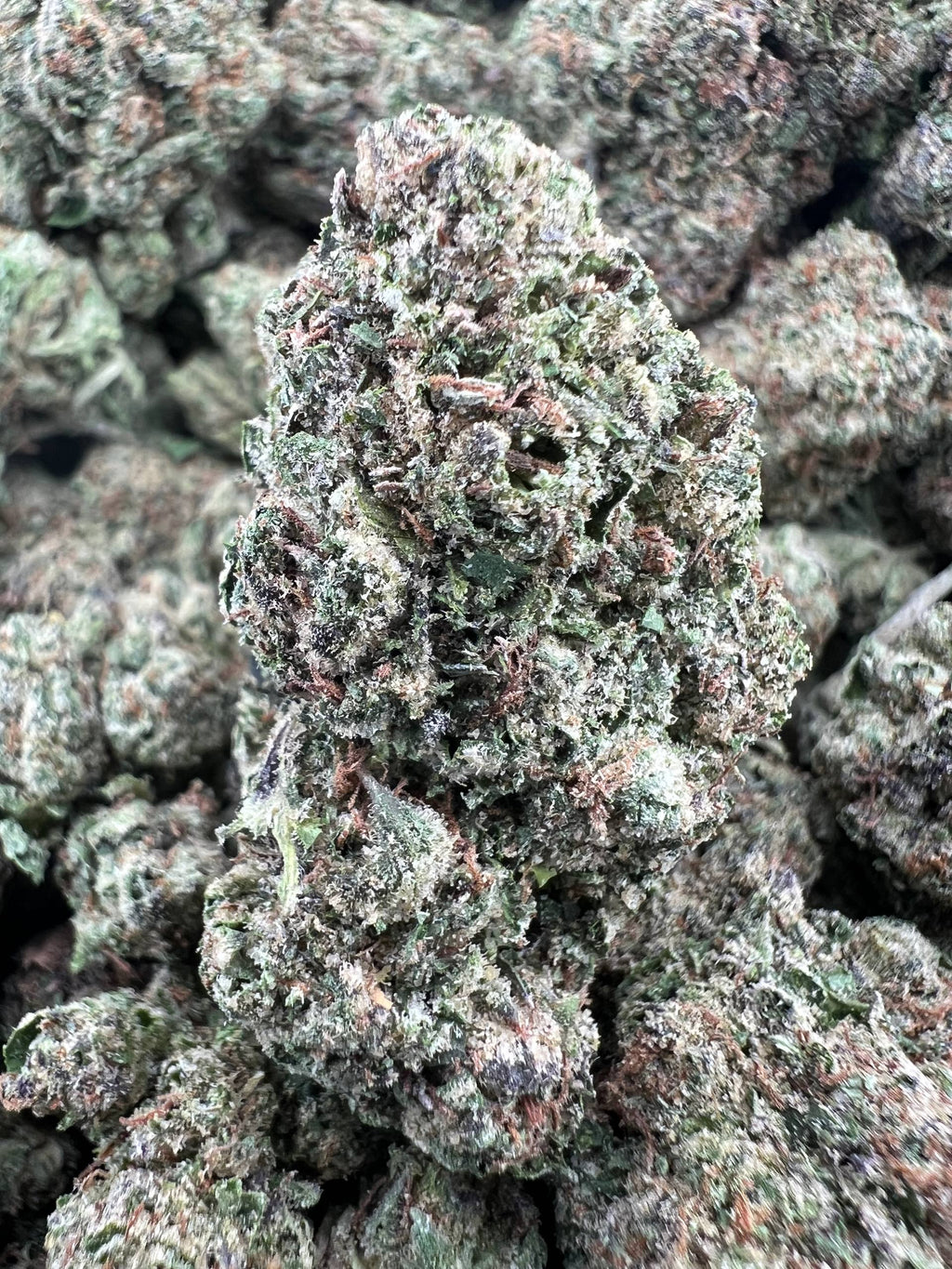 RASPBERRY DUM DUMZ [700]