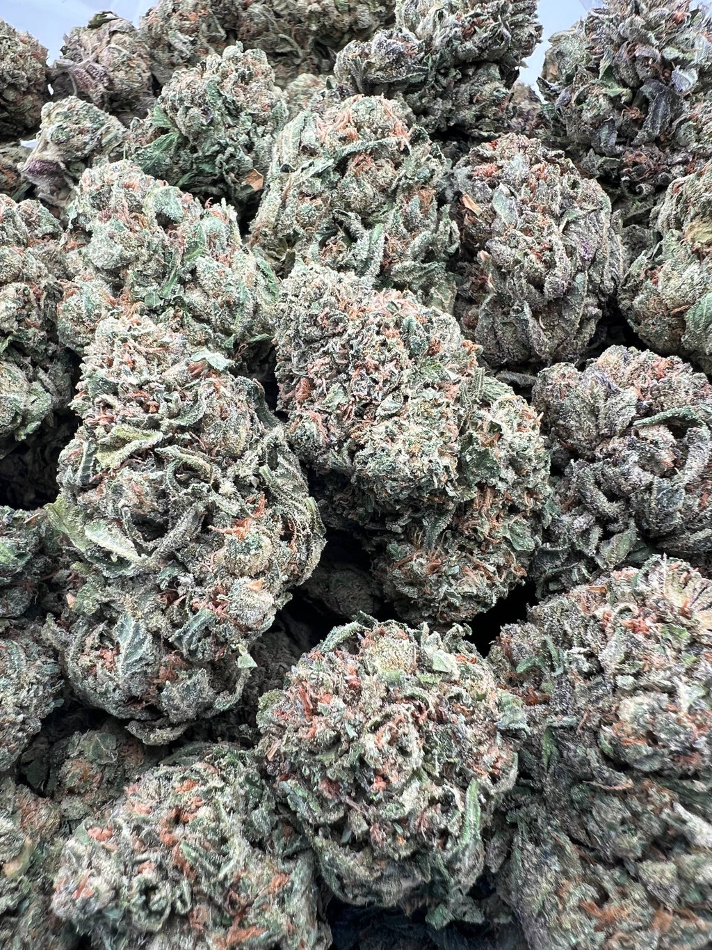 CANDY FUMEZ [750]