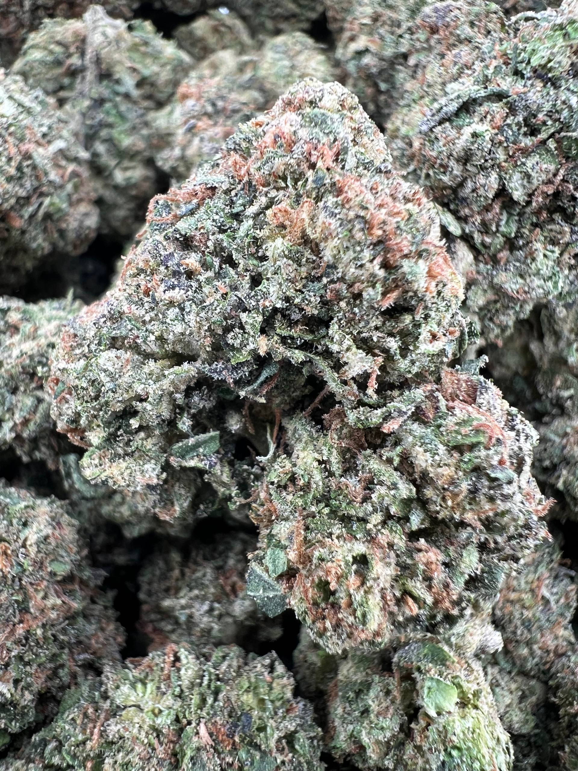 CANDY RUNTZ [725]