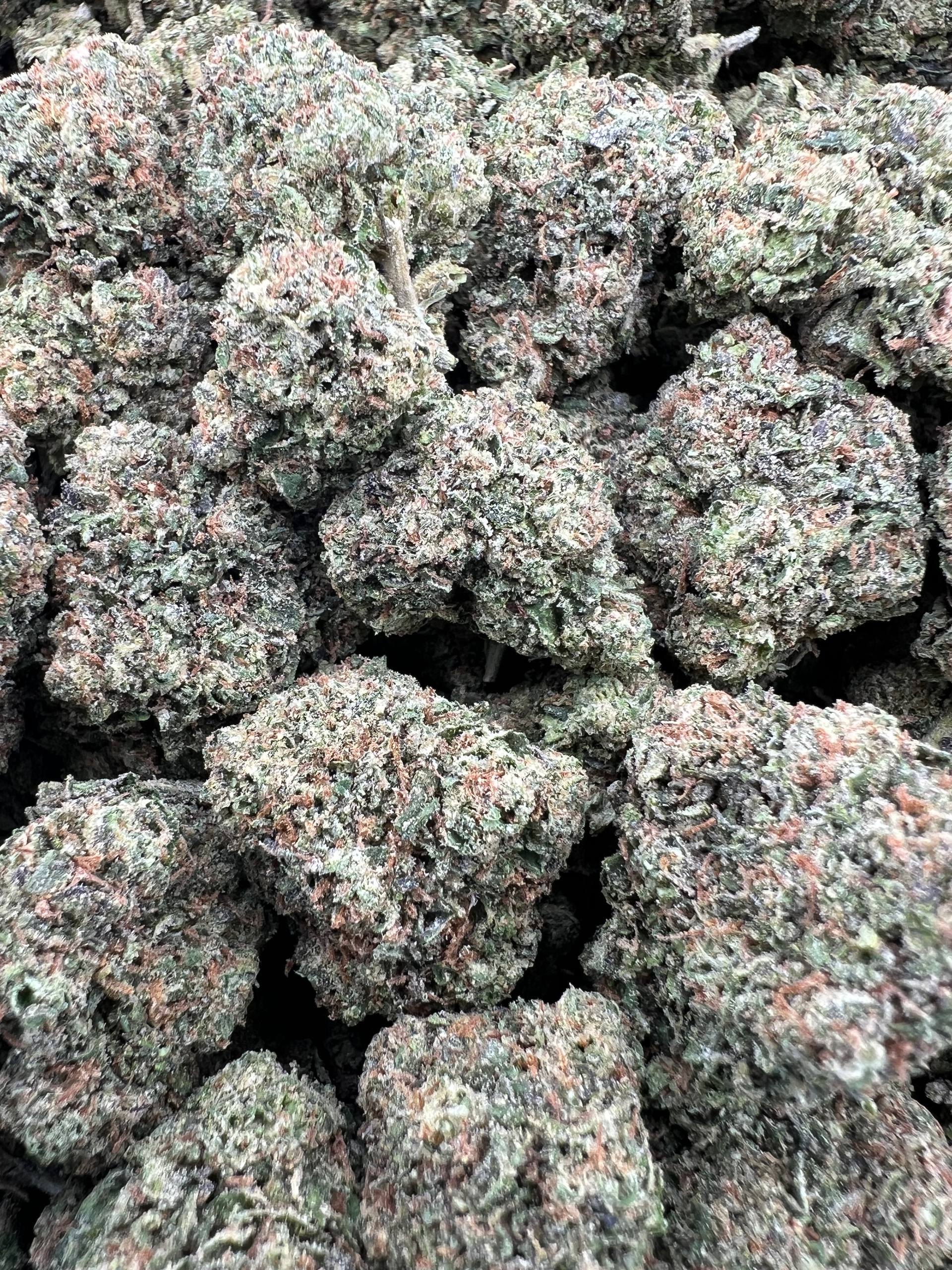 CANDY RUNTZ [725]