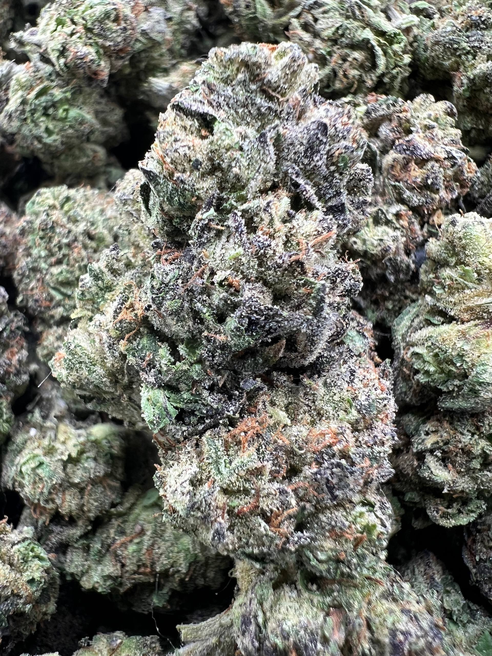 COOCHIE CANDY