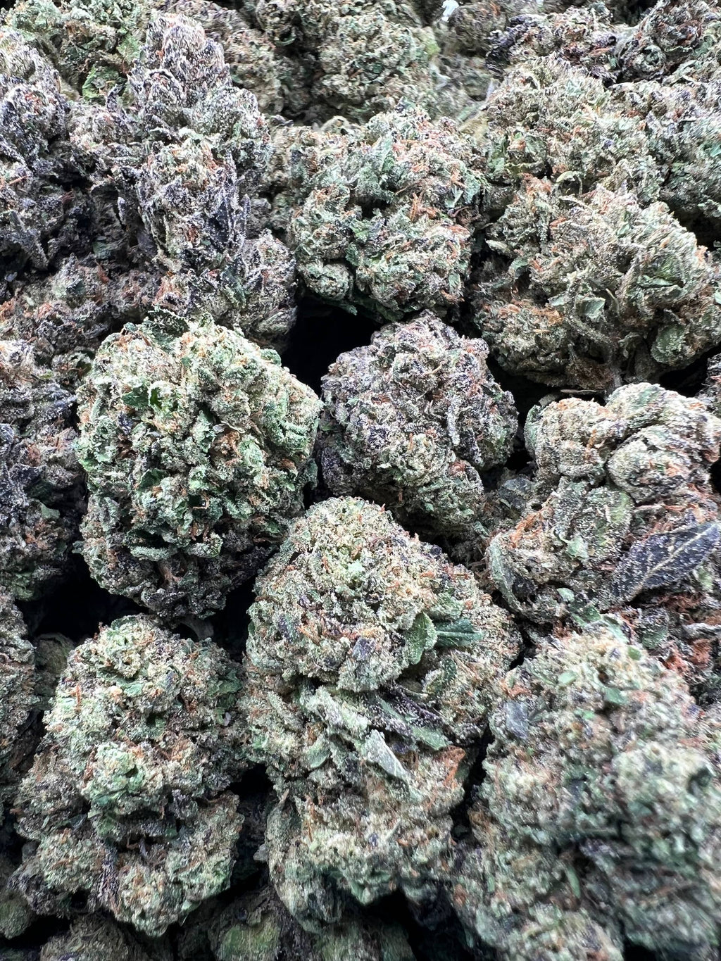 COOCHIE CANDY
