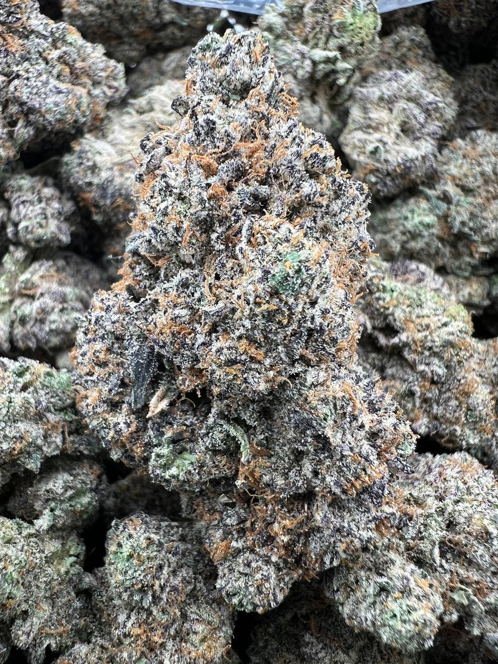 ZMARTIES [850]