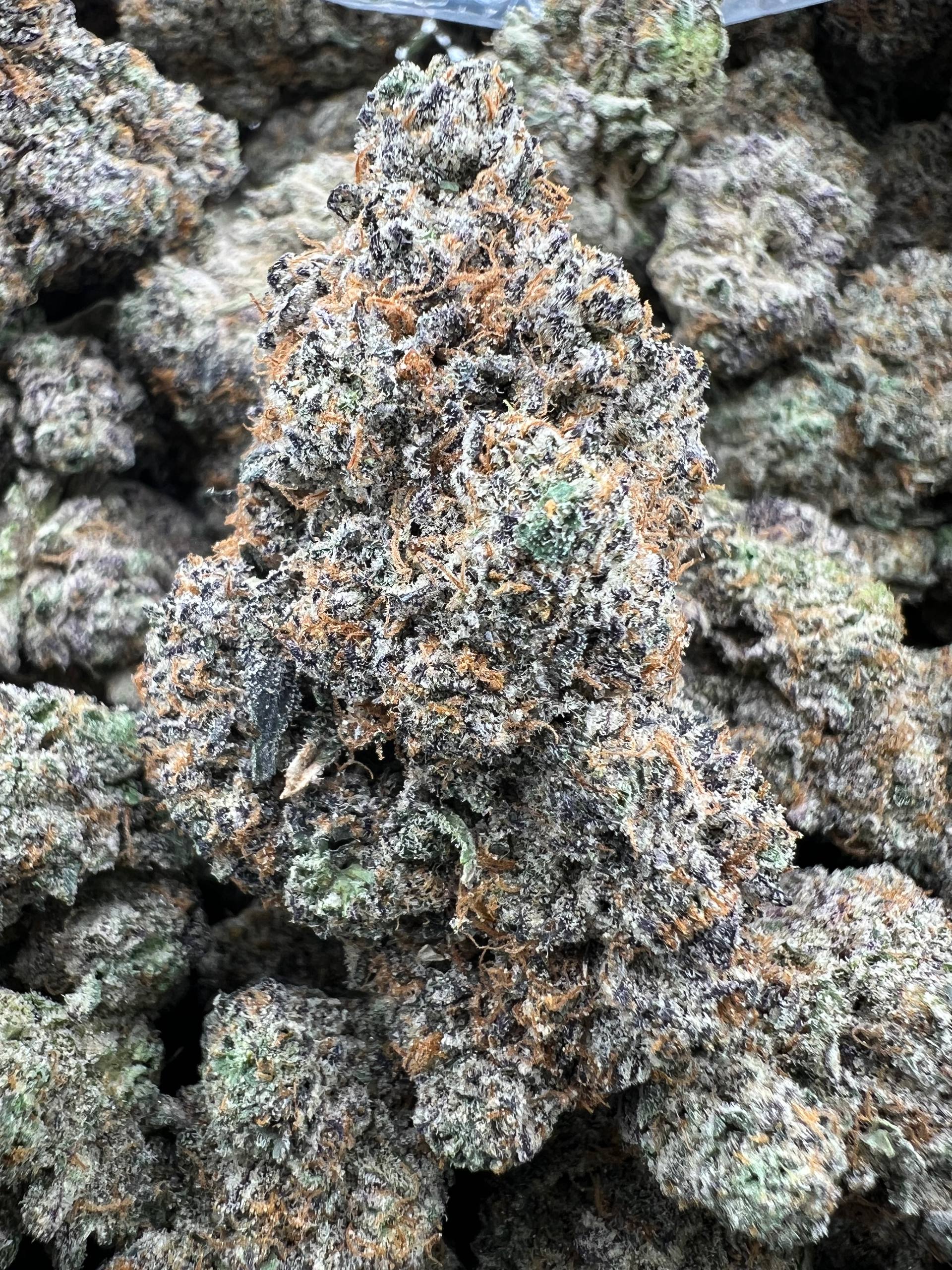 ZMARTIES [850]