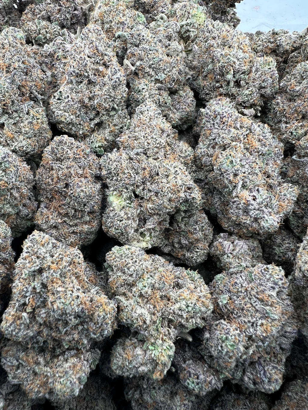 ZMARTIES [850]