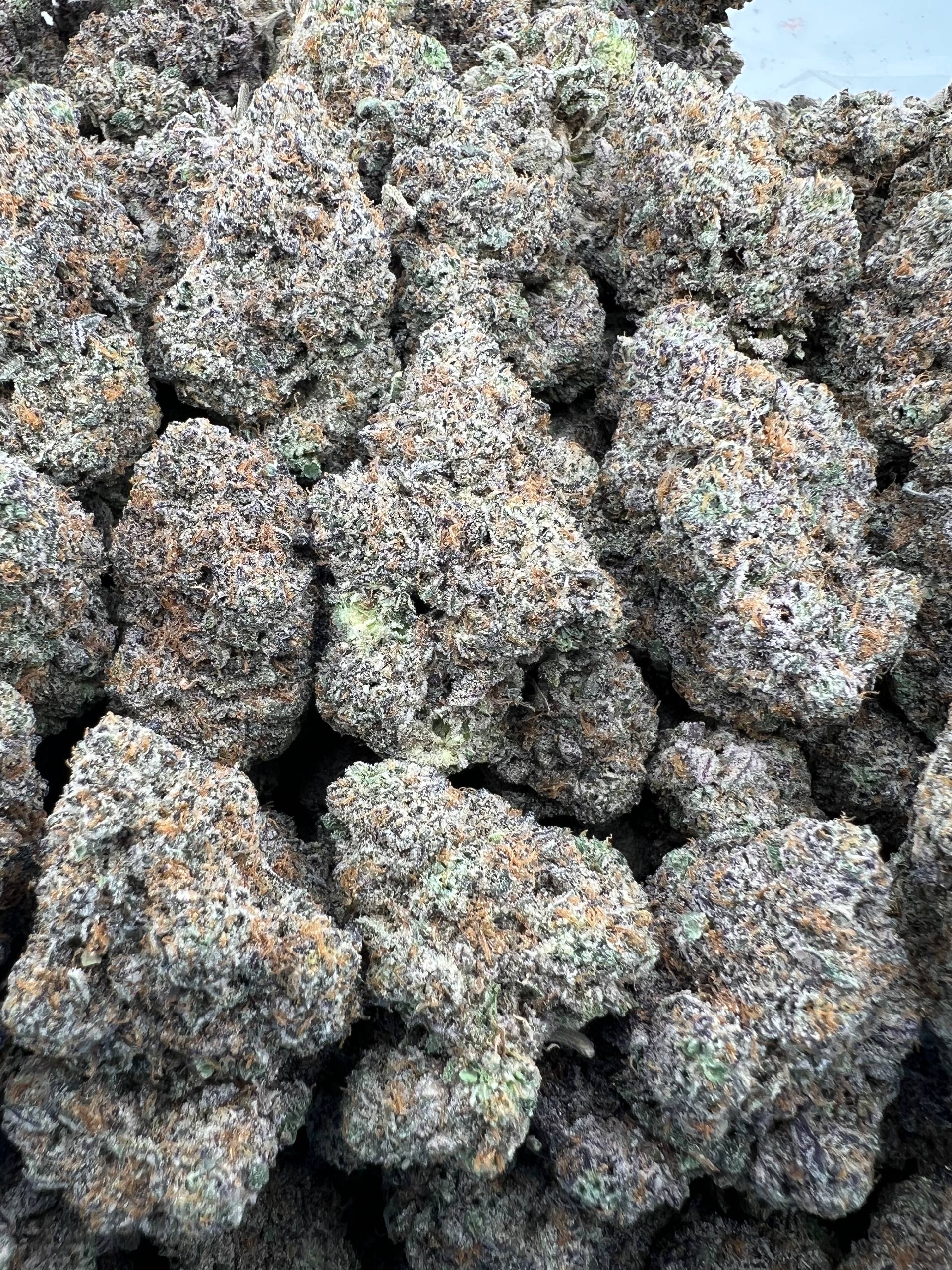 ZMARTIES [850]